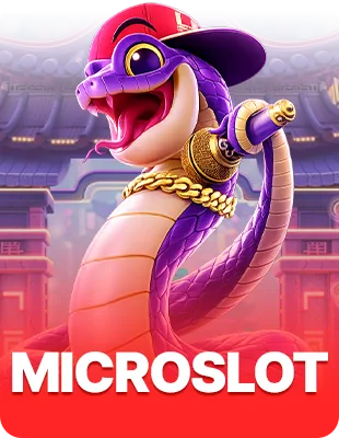 MicroSlot
